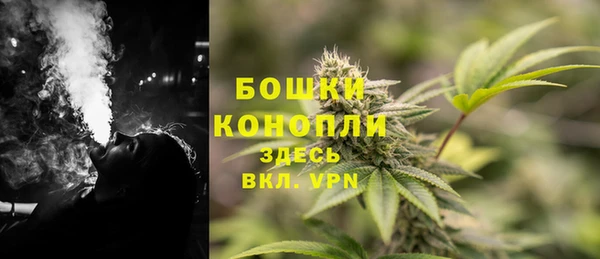 гидра Армянск