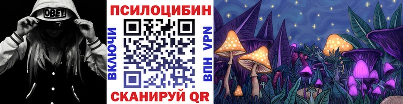 дарнет шоп  Нарткала  Псилоцибиновые грибы мицелий 